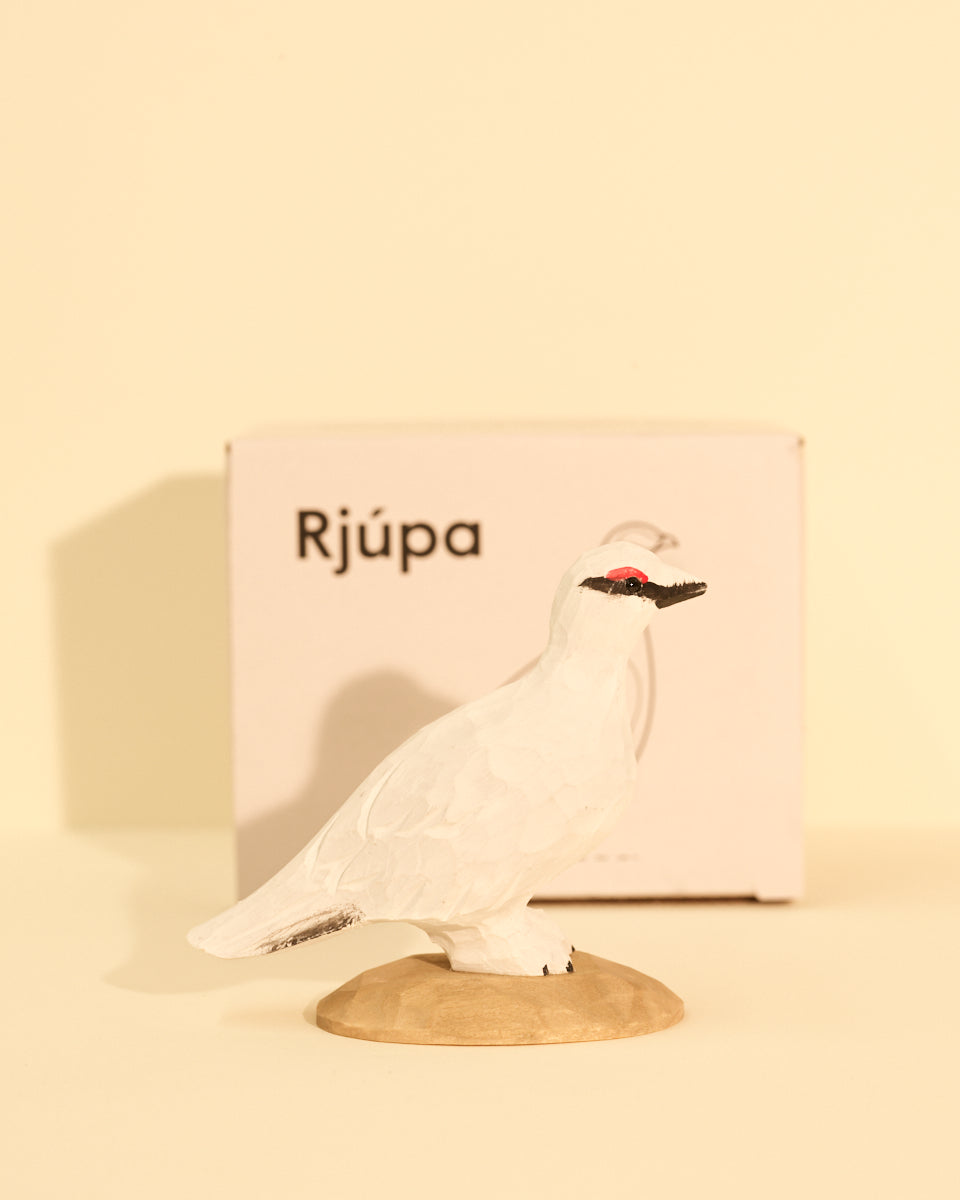 Íslandsfuglar- Rjúpa — mynd 3