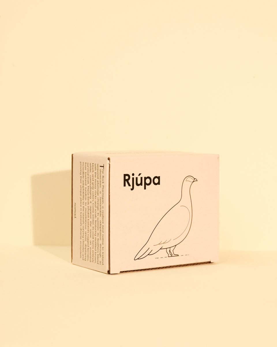 Íslandsfuglar- Rjúpa — mynd 4
