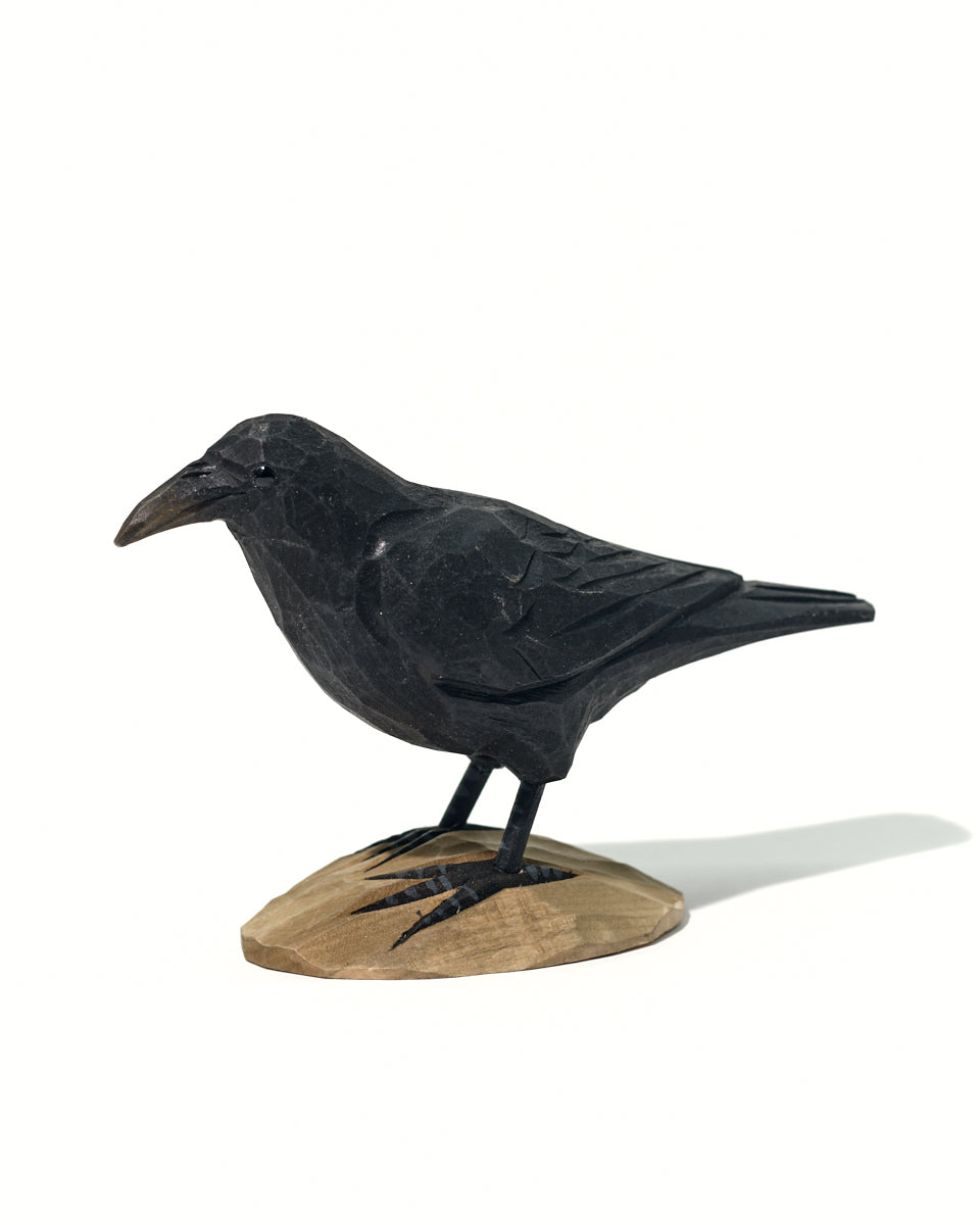 Icelandic Birds - Raven — mynd 7