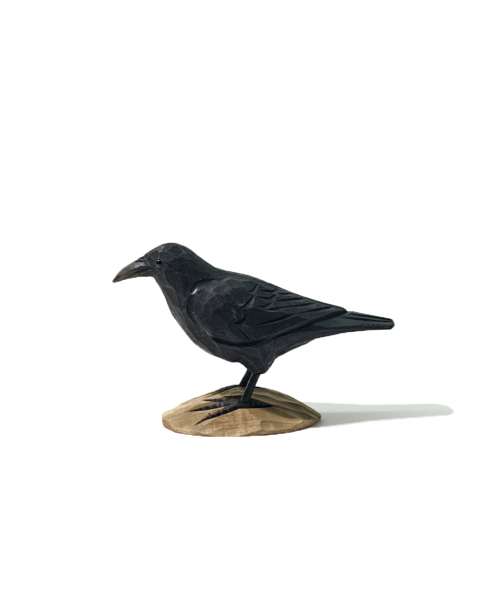Icelandic Birds - Raven — mynd 6