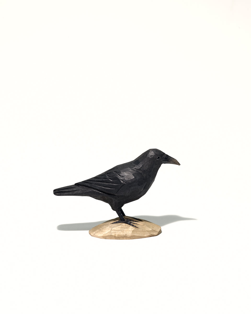 Icelandic Birds - Raven — mynd 8