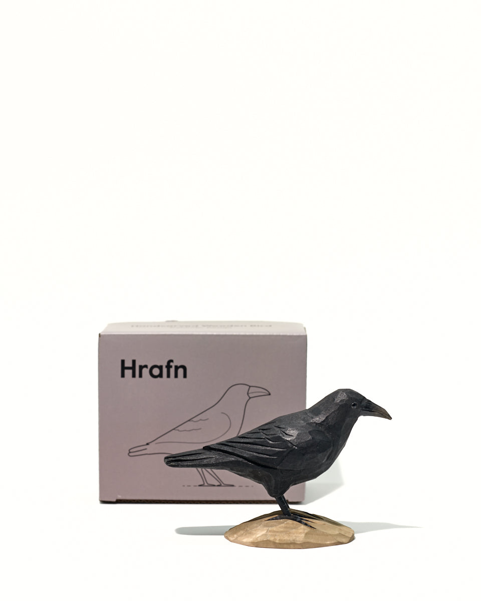 Icelandic Birds - Raven — mynd 9