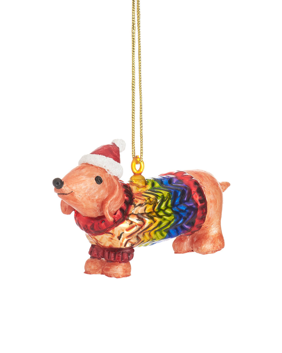 Sausage Dog in a Rainbow Jump.