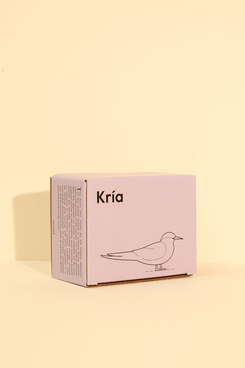 Icelandic Birds - Arctic Tern — mynd 5