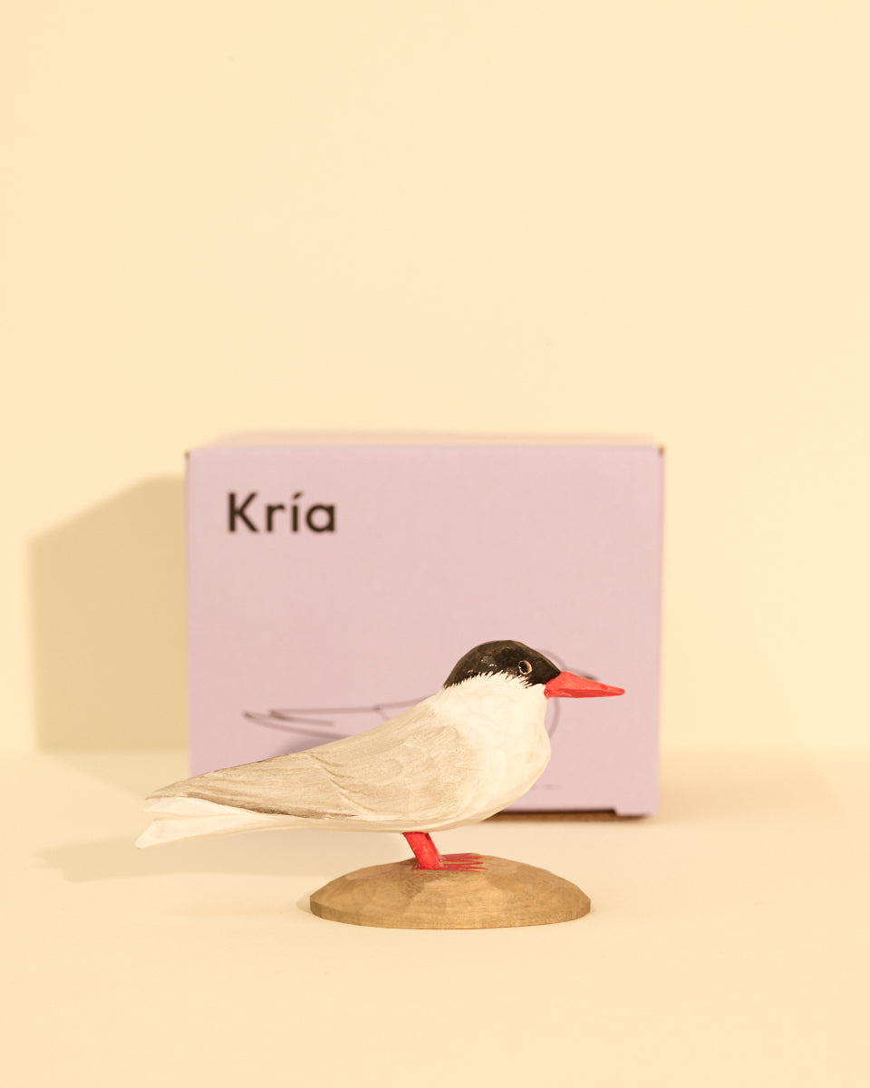 Icelandic Birds - Arctic Tern — mynd 3