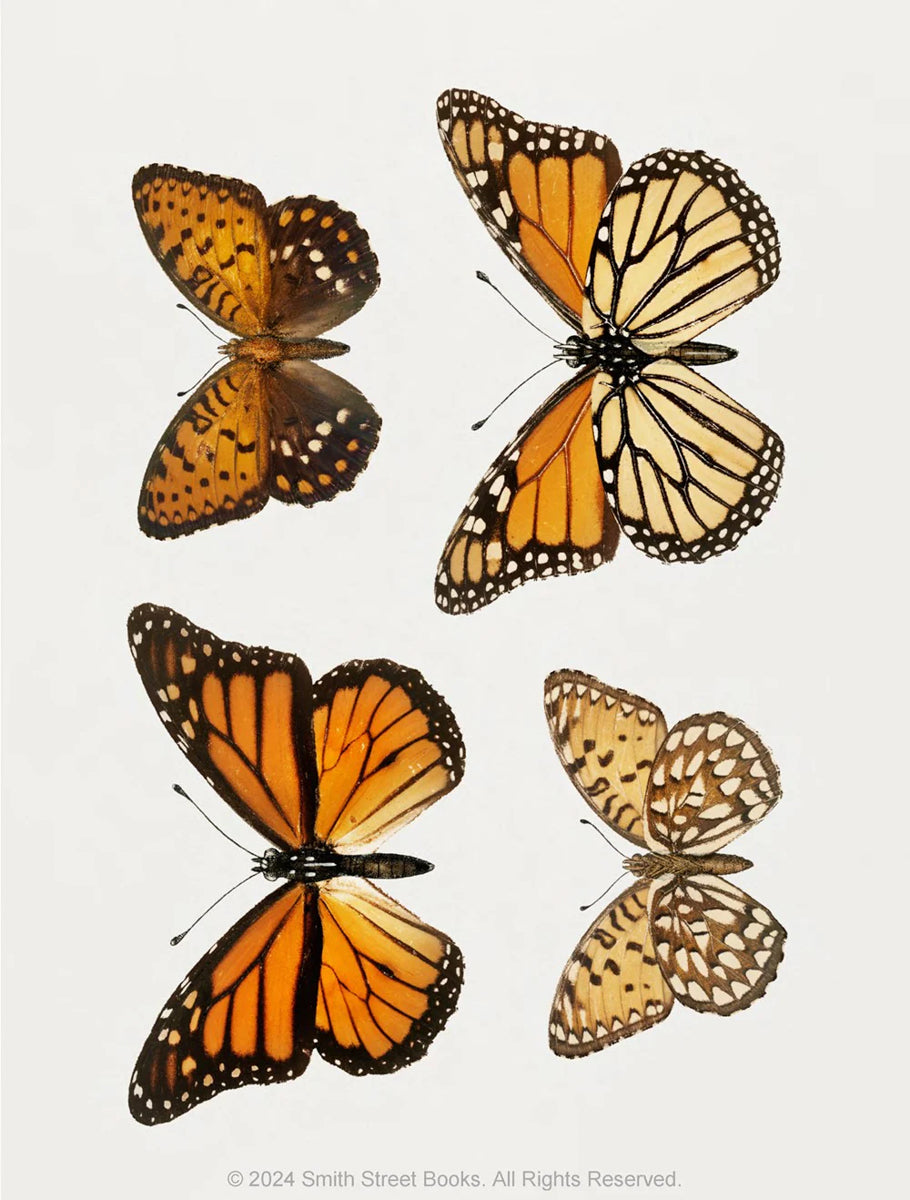 Cut-out Curiosities – Botanica