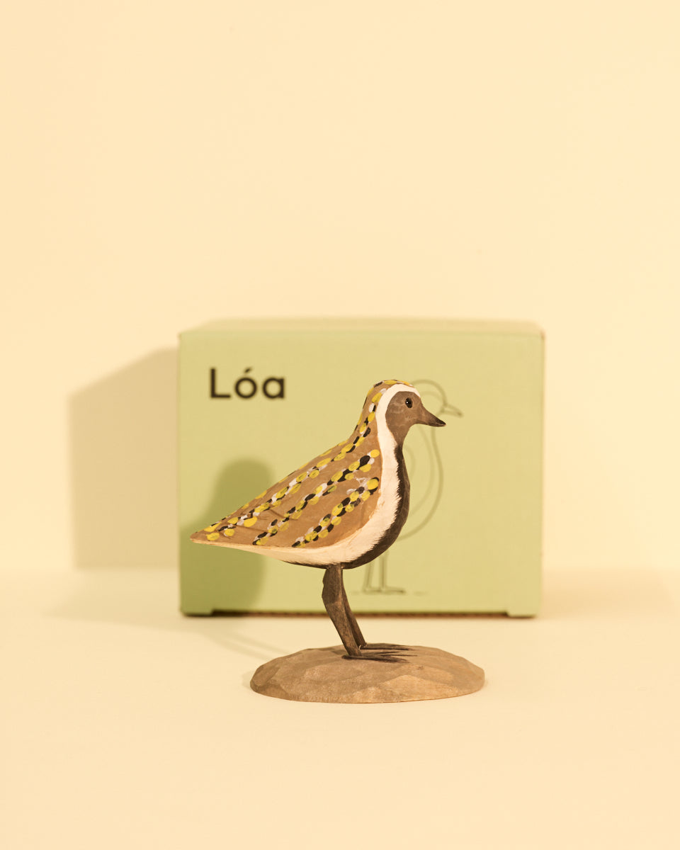 Icelandic Birds - Golden Plover — mynd 3