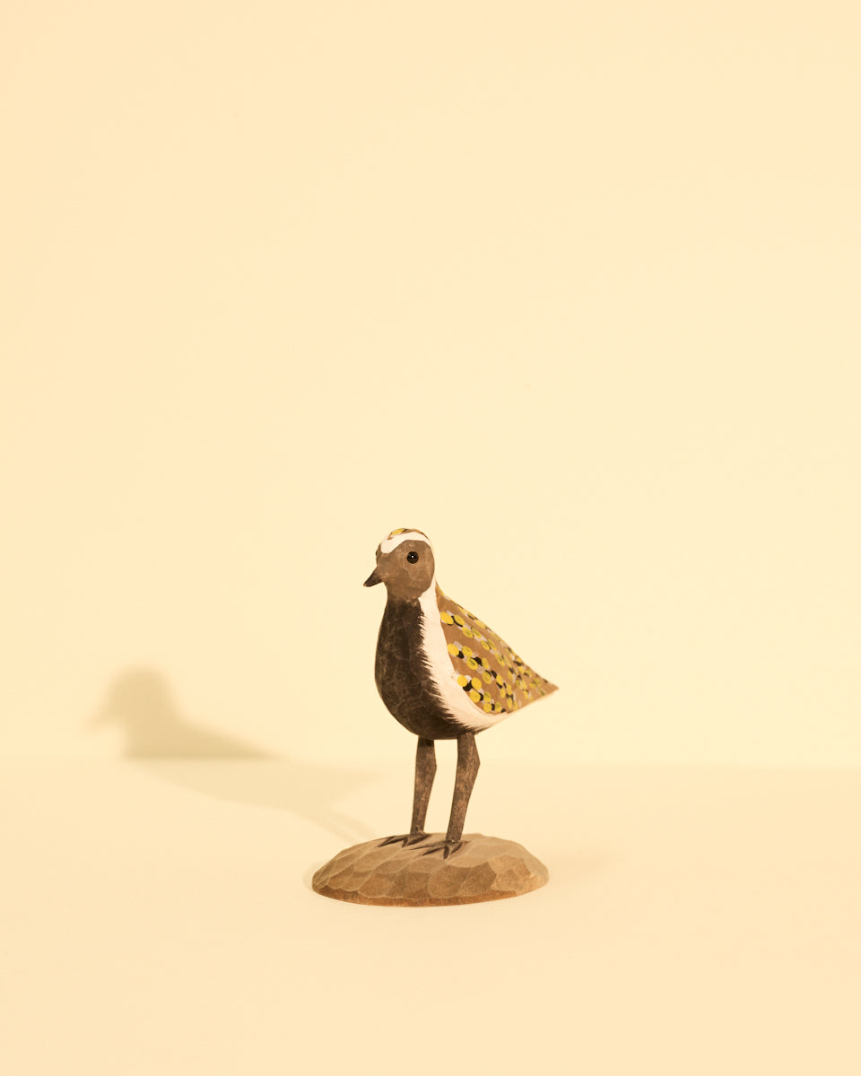 Icelandic Birds - Golden Plover — mynd 4