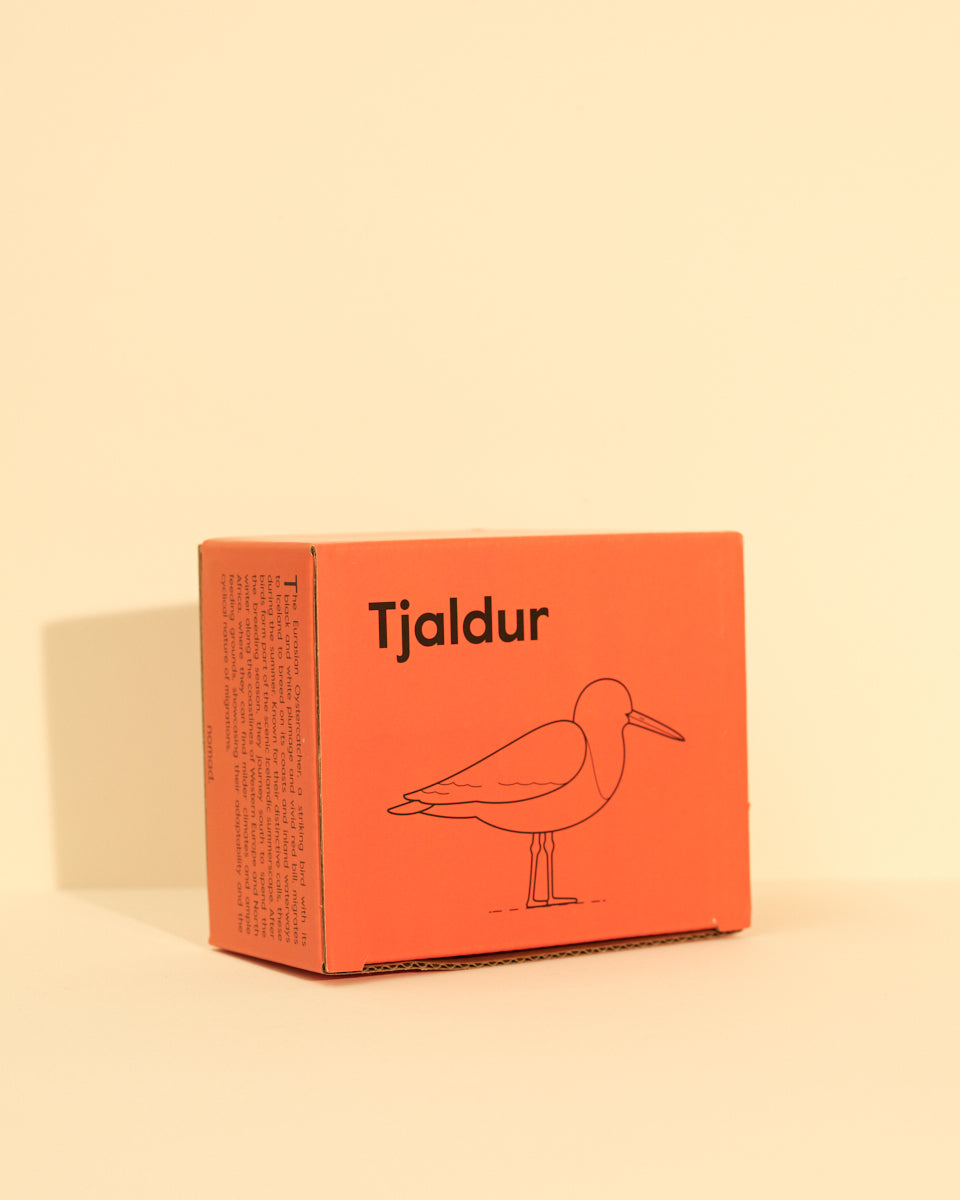 Icelandic Birds - Oystercatcher — mynd 6