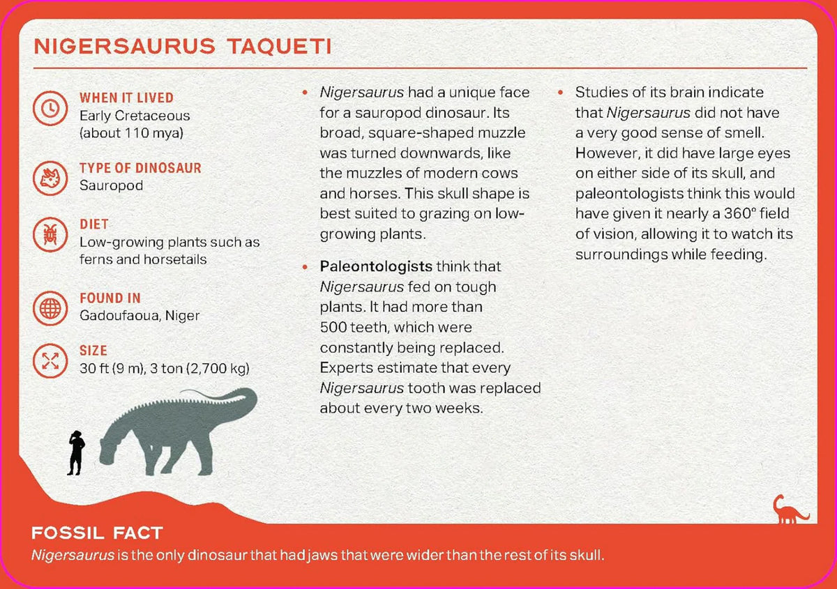 The Dinosaur Deck