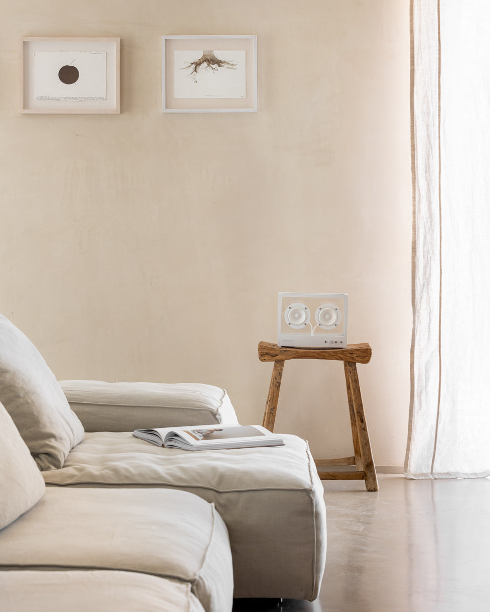 Small Transparent Speaker – White