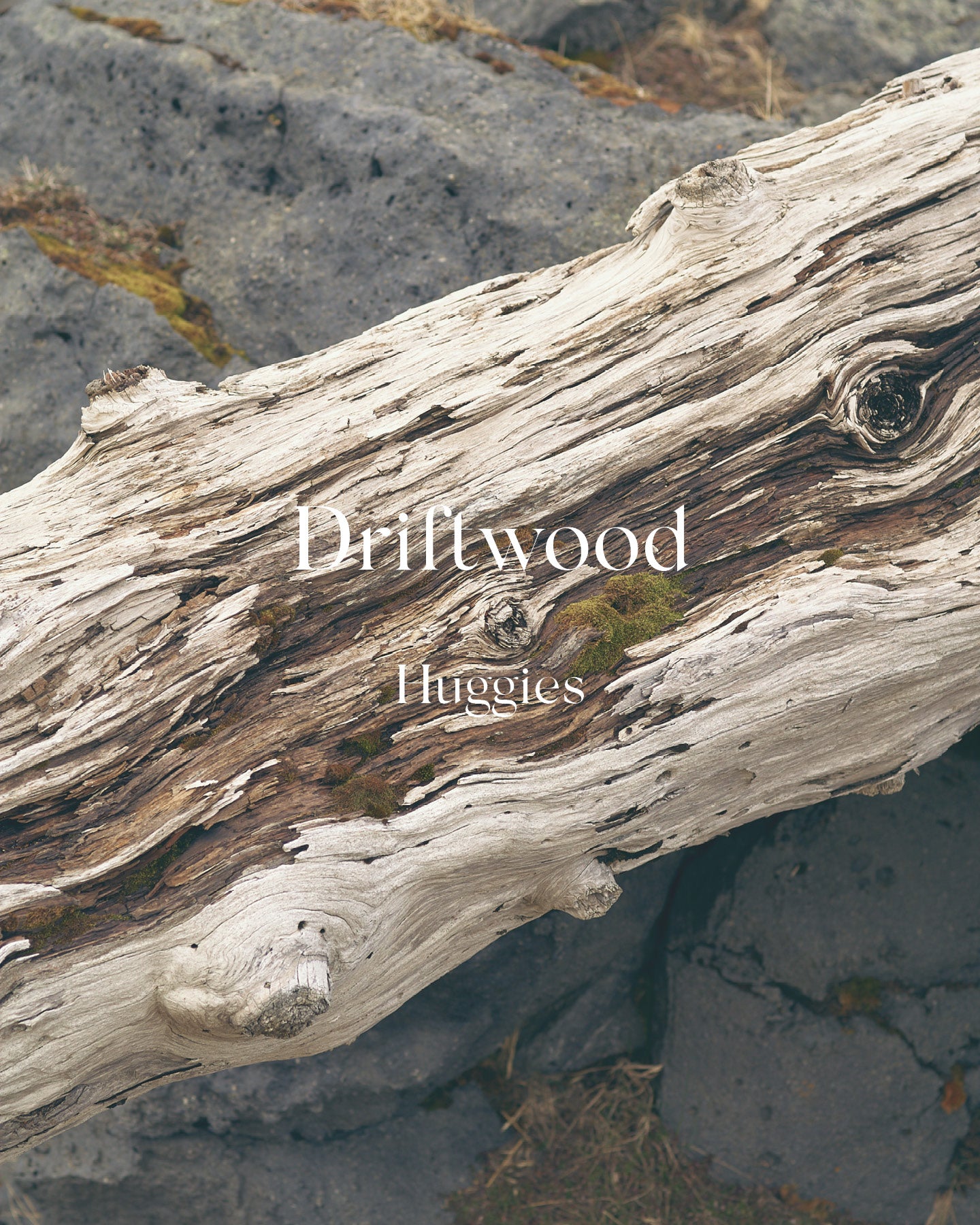 Driftwood Huggies – Silver