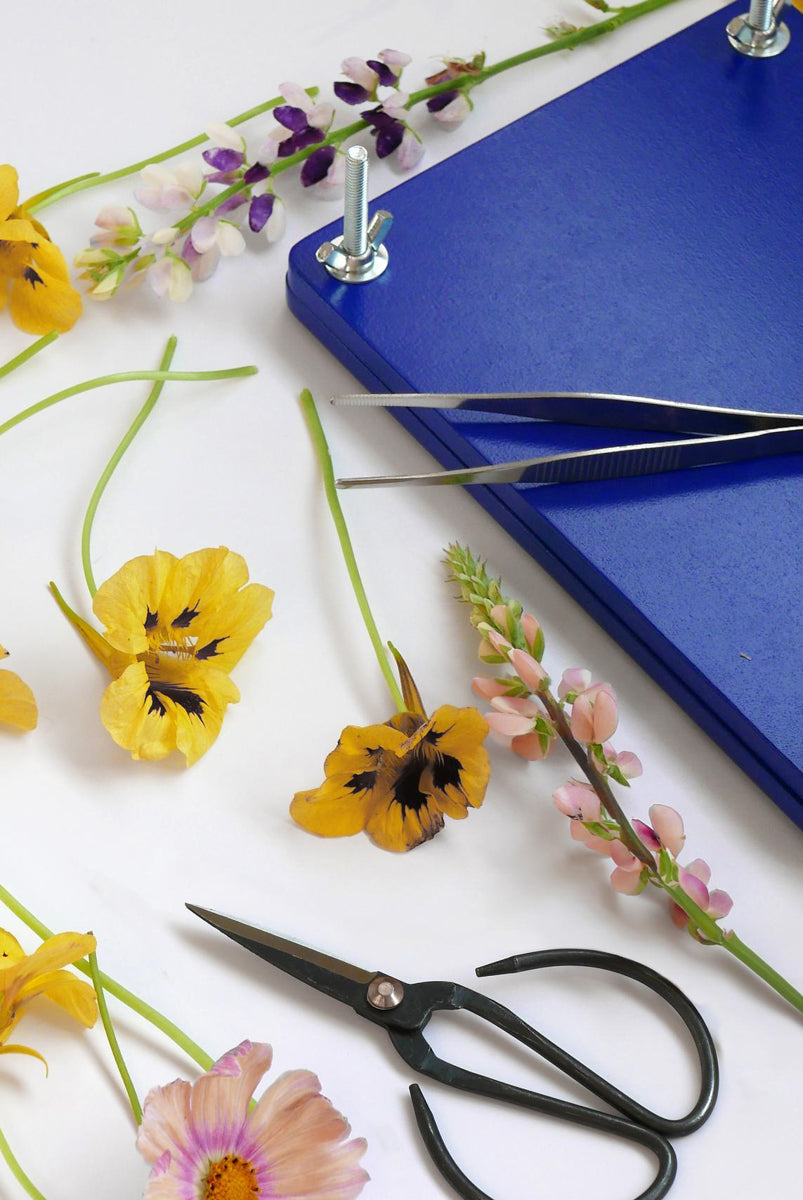 Flower Press Kit — mynd 5
