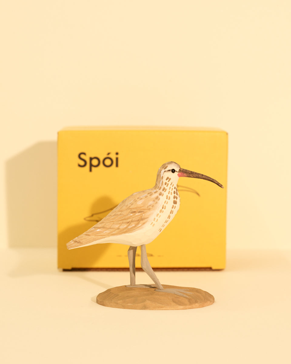 Icelandic Birds - Whimbrel — mynd 3