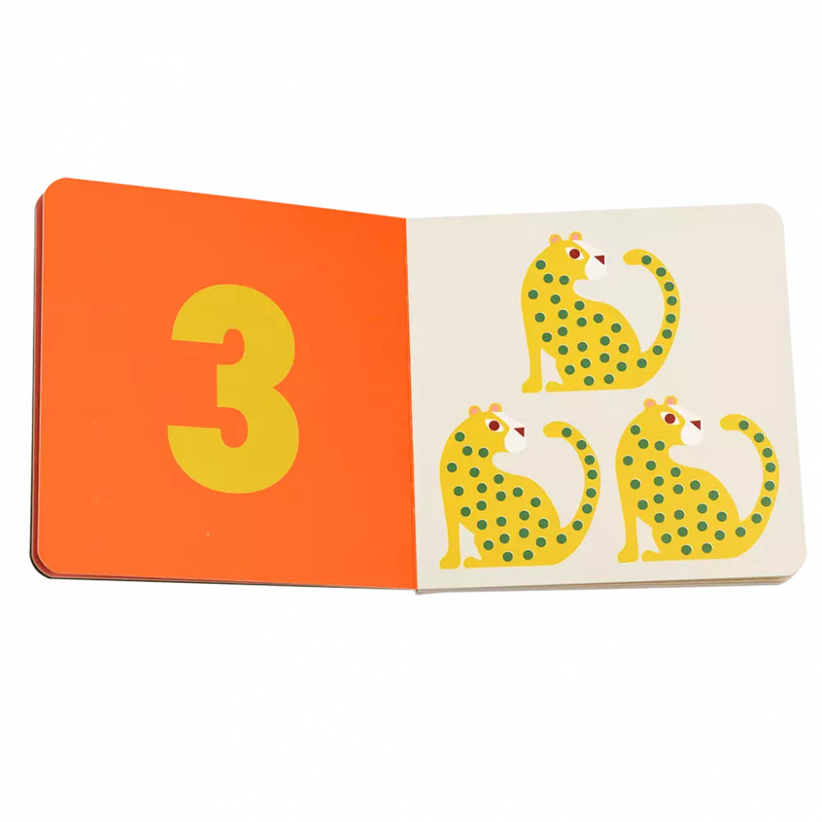 First Book of Numbers – Wild Wonders
