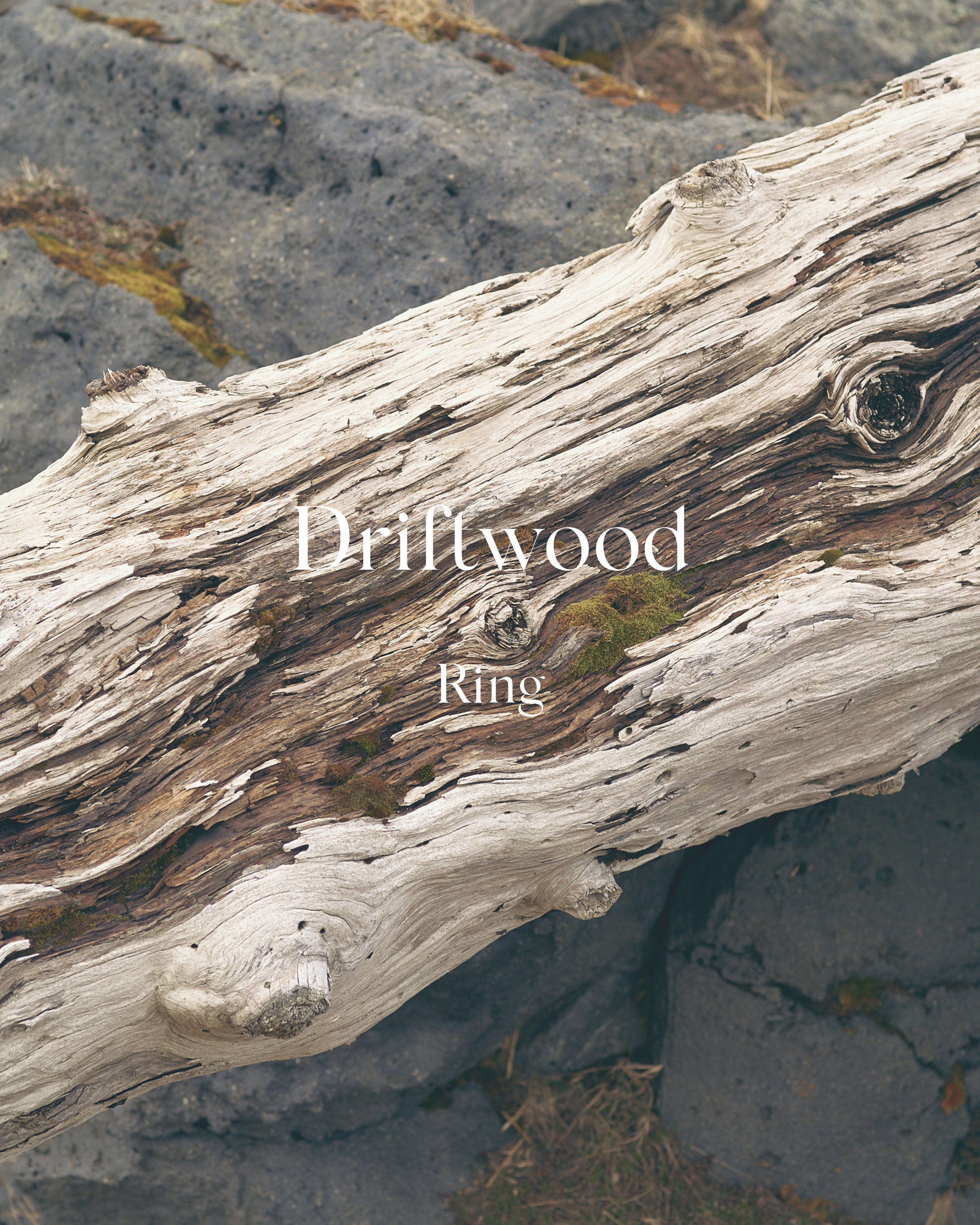 Driftwood hringur – Silfur