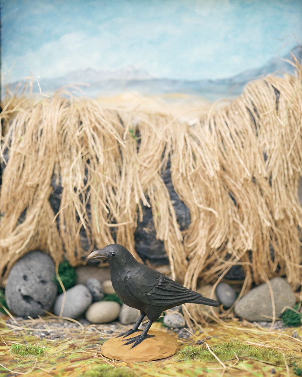 Icelandic Birds - Raven