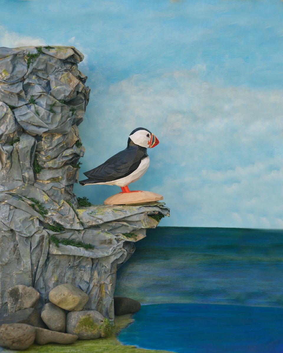 Icelandic Birds - Puffin